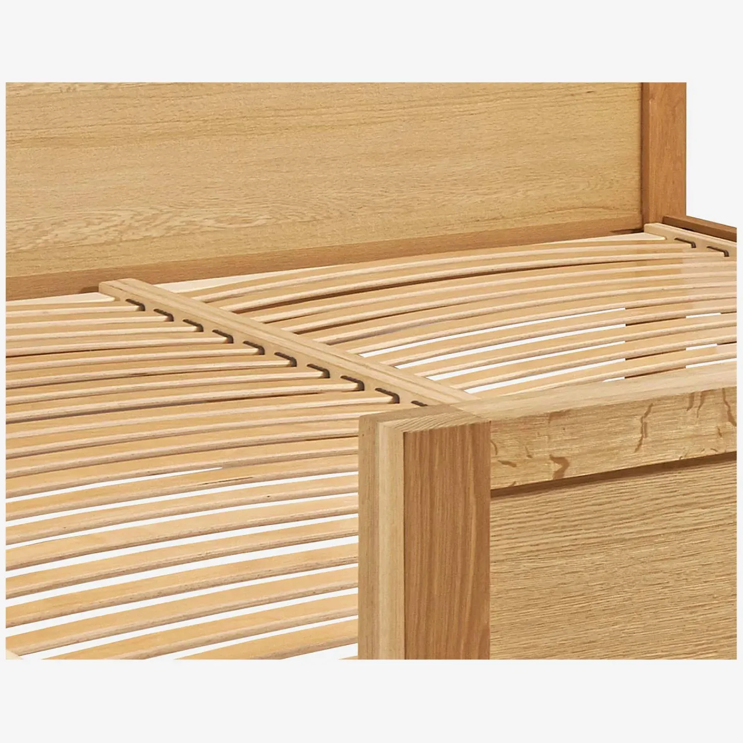 Habitat Hanita Online