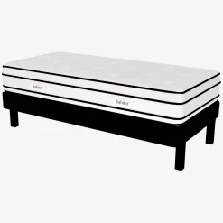Habitat Hybride New