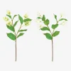 Habitat Sia green shop New